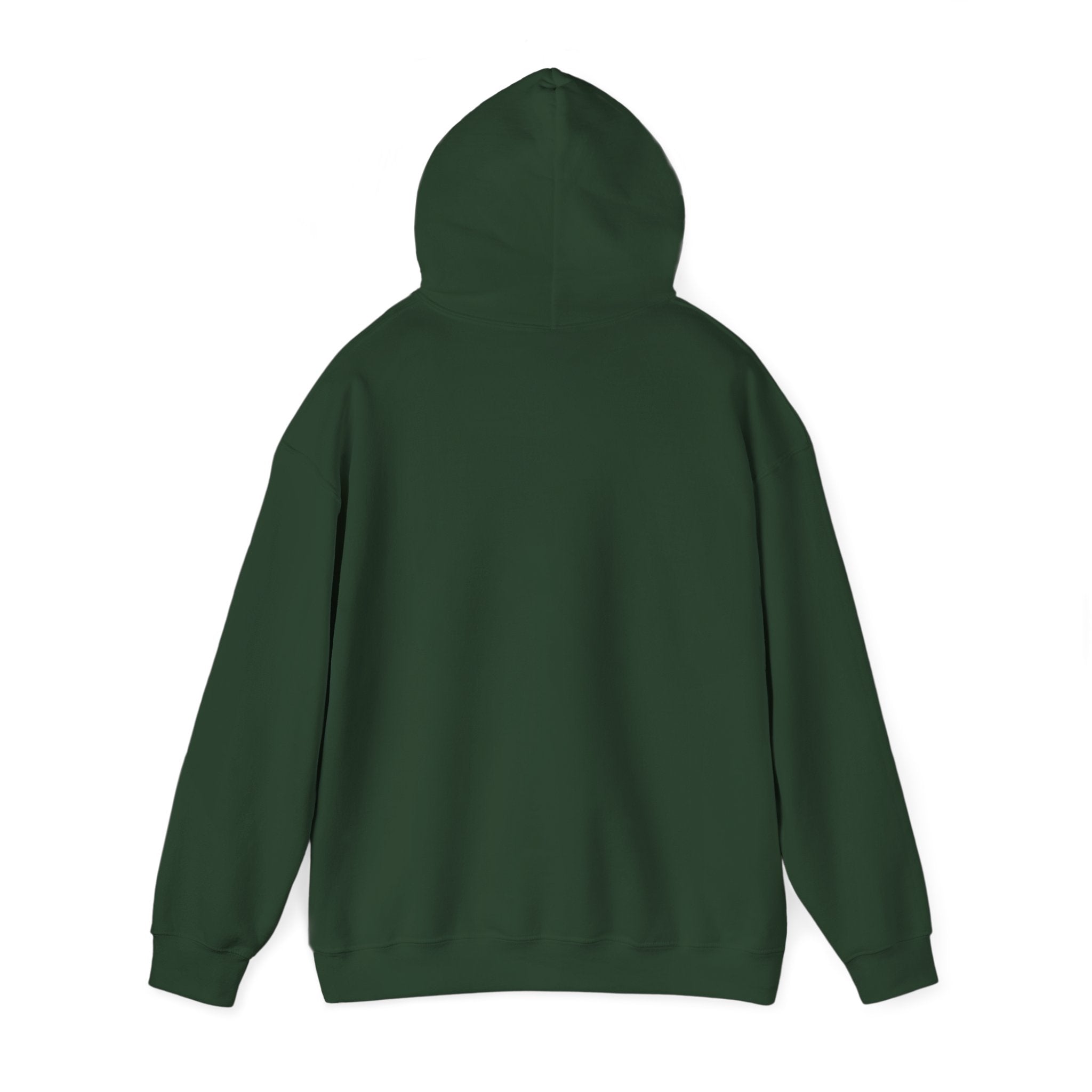 ΘΤΕ Hoodie