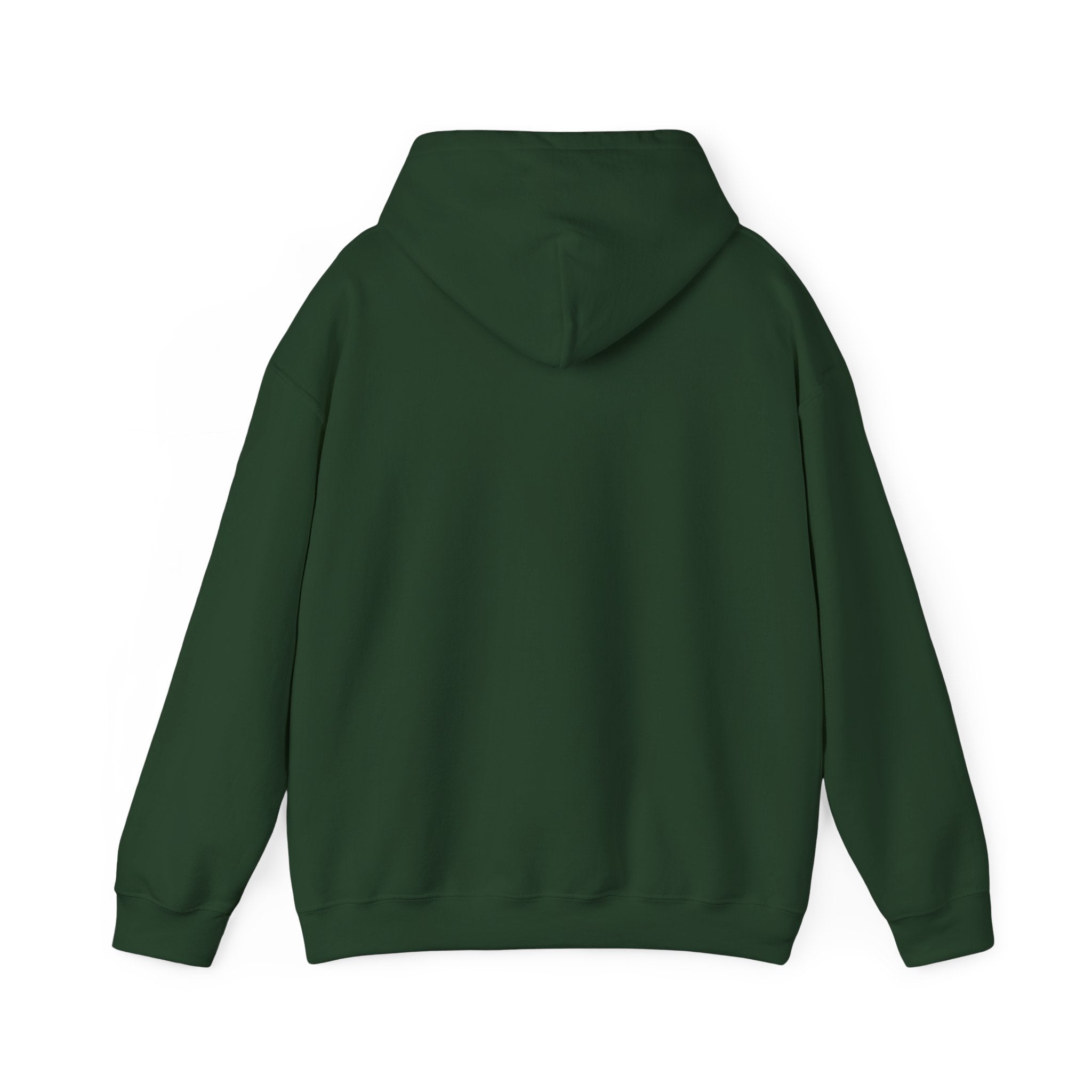 ΘΤΕ Hoodie