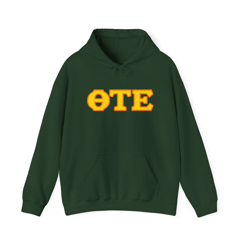 ΘΤΕ Hoodie