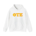 ΘΤΕ Hoodie